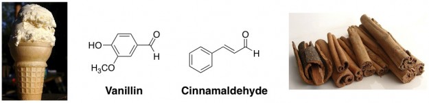 vanillin-and-cinnamaldehyde-e1299814905370